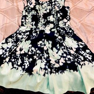 Danny and Nicole dress size 14P Juniors